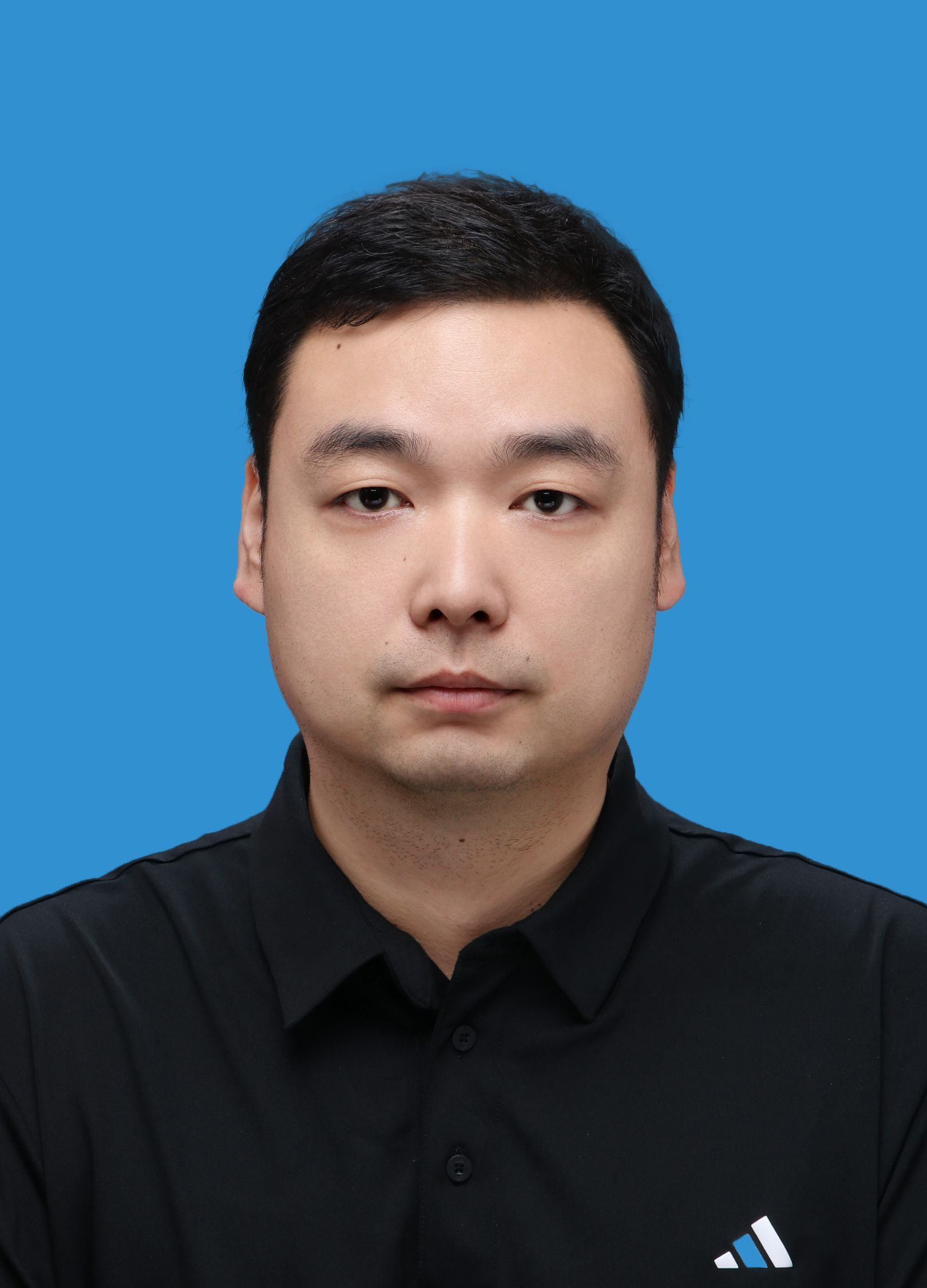 杨  鹏  副主任